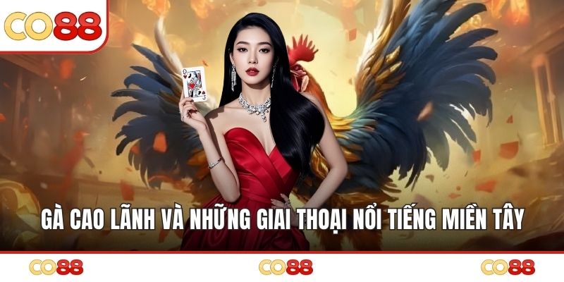 Gà Cao Lãnh Và Những Giai Thoại Nổi Tiếng Miền Tây