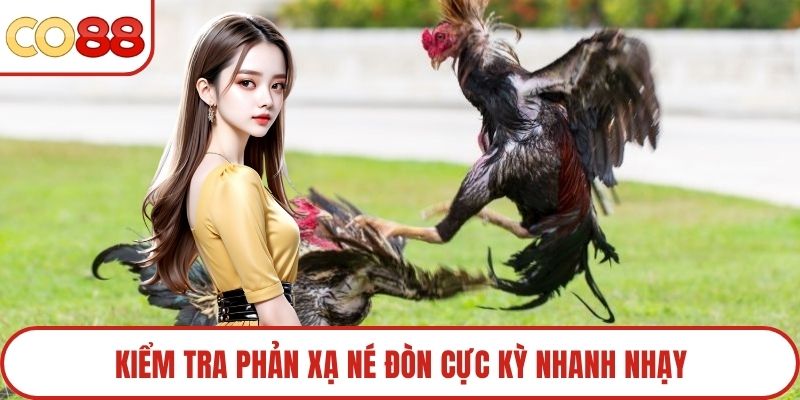 Kiểm tra phản xạ né đòn cực kỳ nhanh nhạy